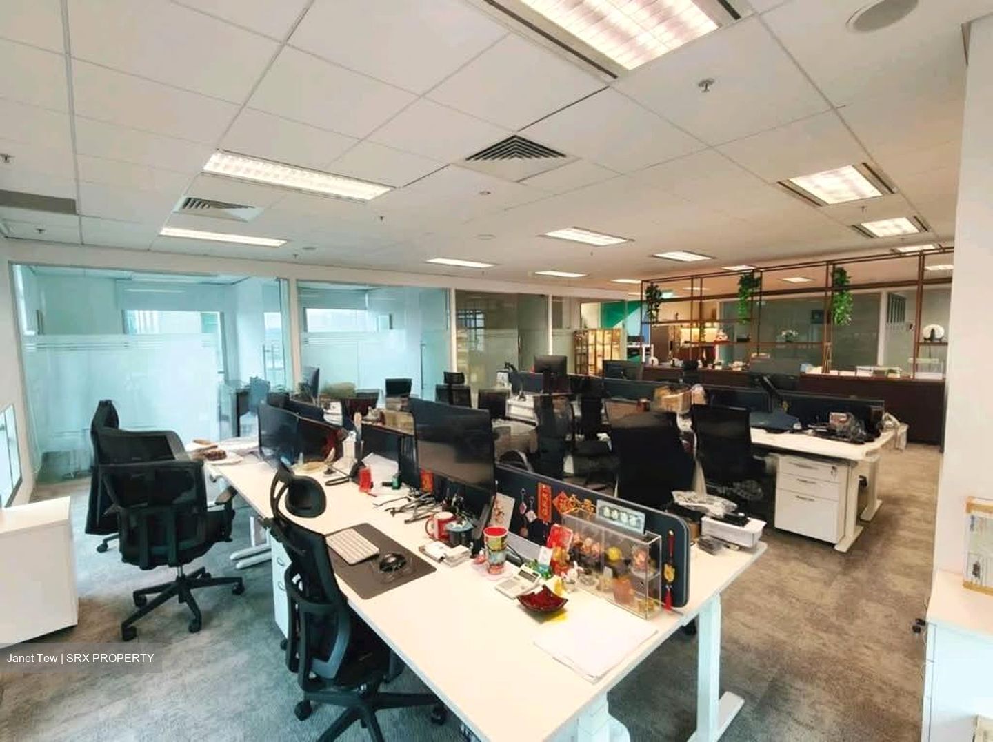 Bugis Junction (D7), Office #529460791